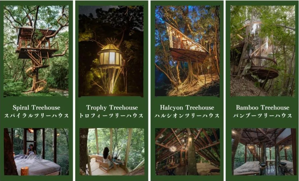 SE-67dfc2f5-f5e3-45a2-8c34-d7eec4027ee7.jpg?type=w966