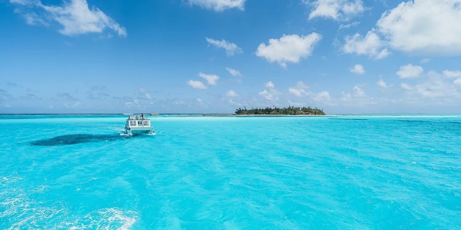 20171108174145.jpeg?type=w1