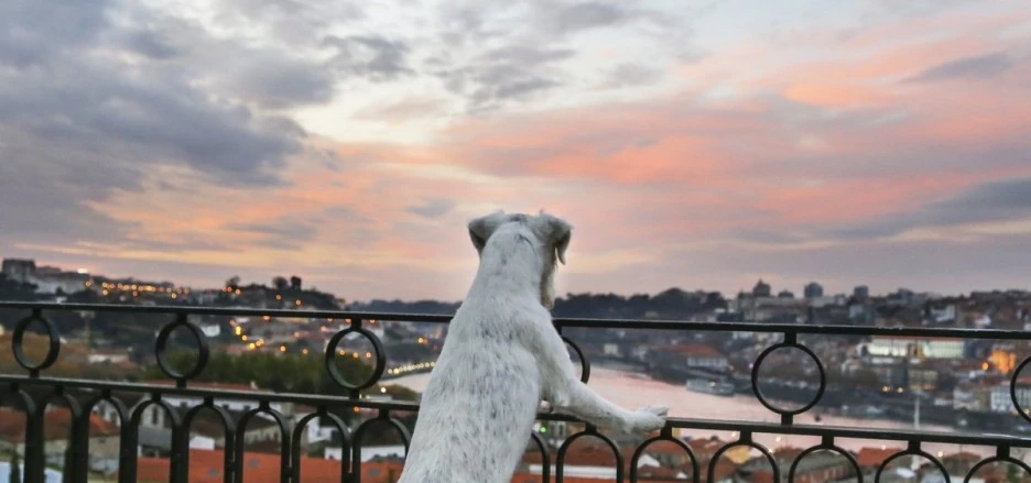 maxetlouise2_44040534058dd10b8b3ebc.jpeg?type=w1