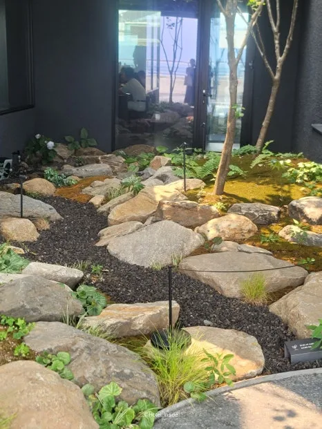 SE-43ad1b2a-0e64-4b50-adbc-8e6c72ca153b.jpg?type=w466