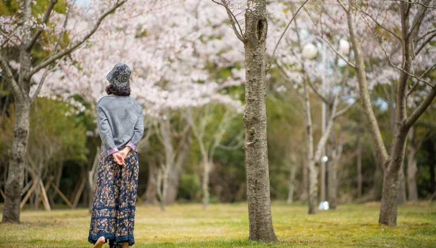 %ED%98%B8%ED%85%94%EB%89%B4%EC%8A%A4_%EC%9C%84%ED%98%B8%ED%85%94%EC%A0%9C%EC%A3%BC_%EB%B2%9A%EA%BD%83_%EC%82%B0%EC%B1%85.png?type=w966