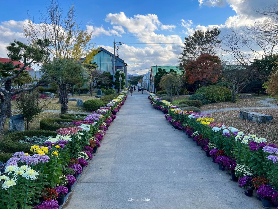 SE-1a41f993-d1fa-40ad-b855-8af68257ef99.jpg?type=w1