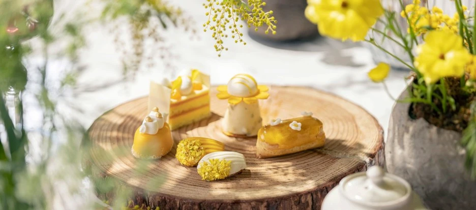 %ED%8C%8C%ED%81%AC%ED%95%98%EC%96%8F%ED%8A%B8%EC%84%9C%EC%9A%B8.jpg?type=w1