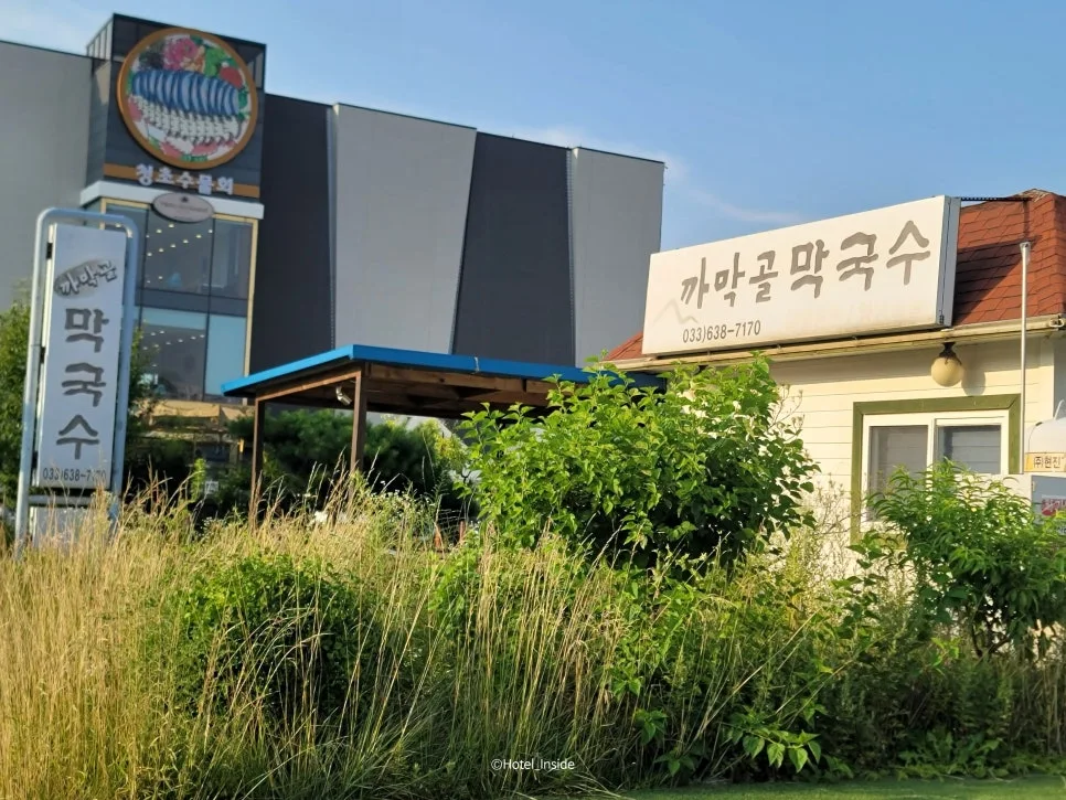 SE-3ba184d7-1907-4151-809a-1618e215b50a.jpg?type=w966