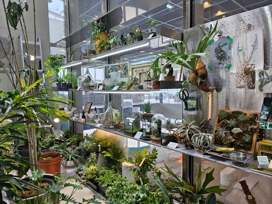 SE-01d26f0a-11ad-4f78-b941-a0a434fa5849.jpg?type=w1