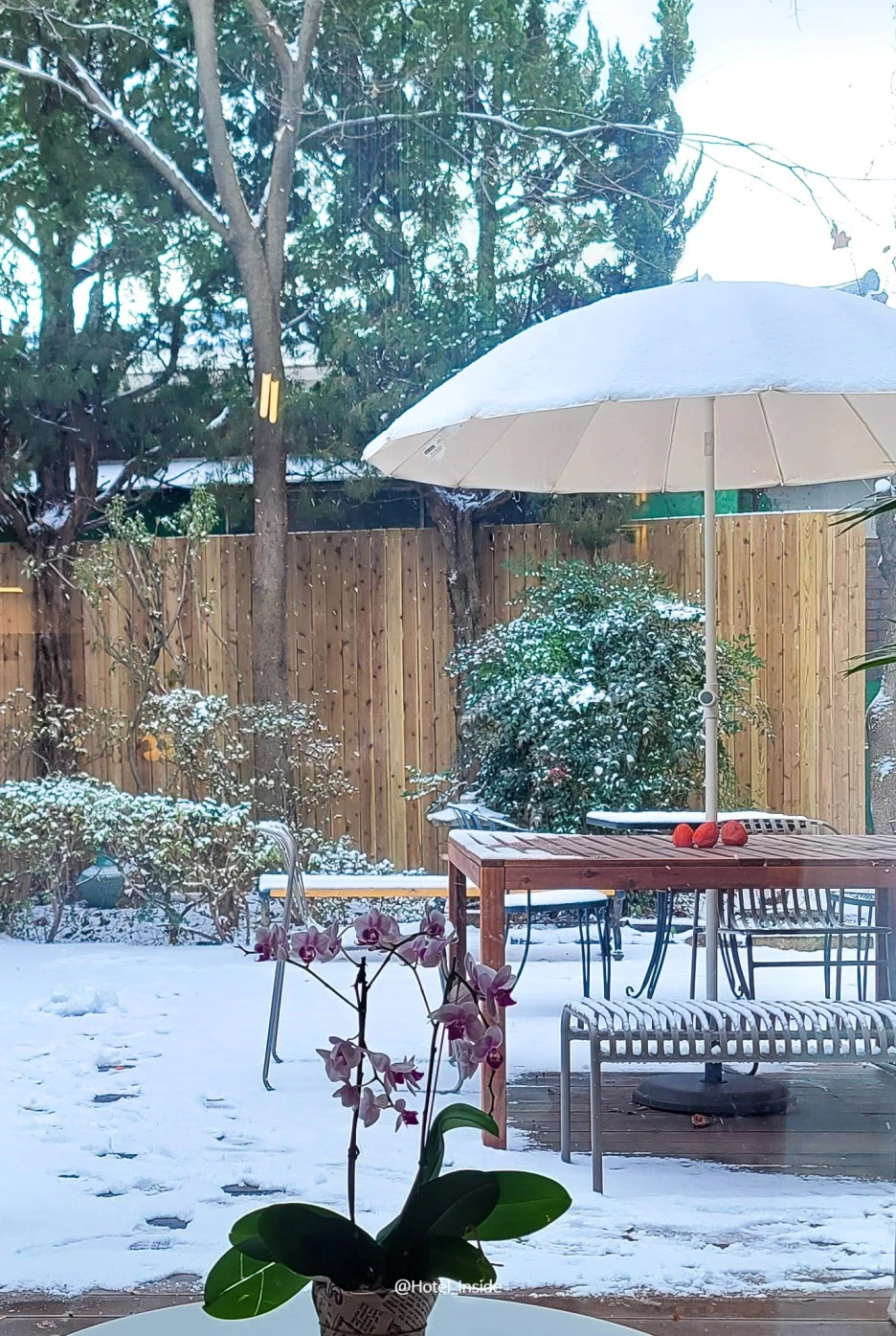 SE-d3125449-6449-4179-8cb7-1c74f884219b.jpg?type=w1