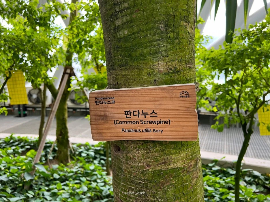 SE-efd7770a-8123-417e-b321-e940aba5cfa8.jpg?type=w1