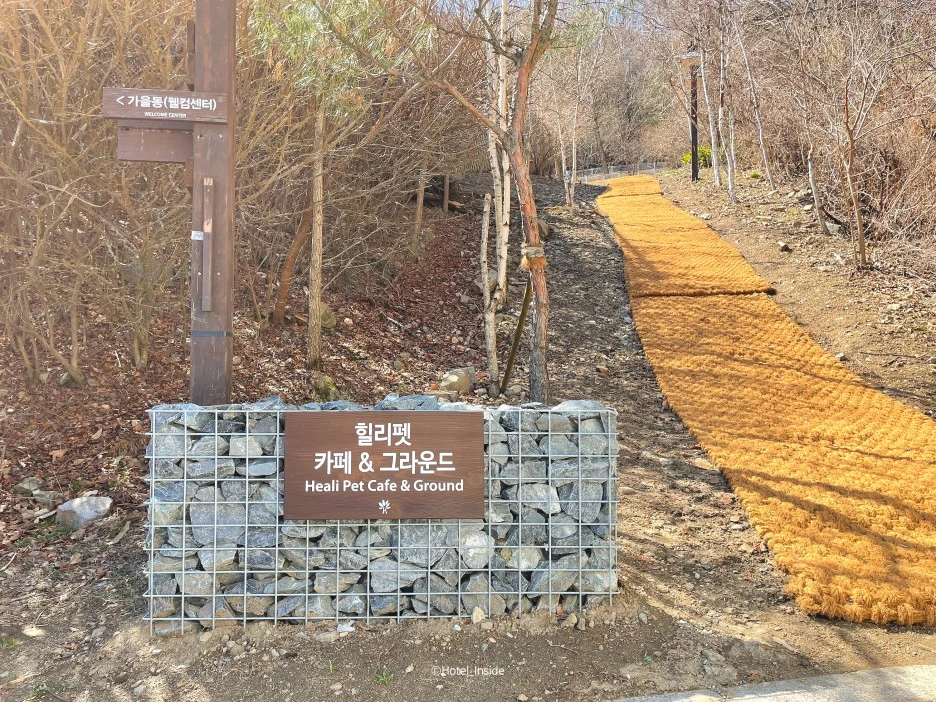 SE-3c849dfb-0f72-4cec-bd35-cf62afb047e1.jpg?type=w1