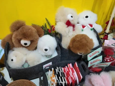 SE-e1880e07-0253-4366-907d-3c10b14c72f4.jpg?type=w466