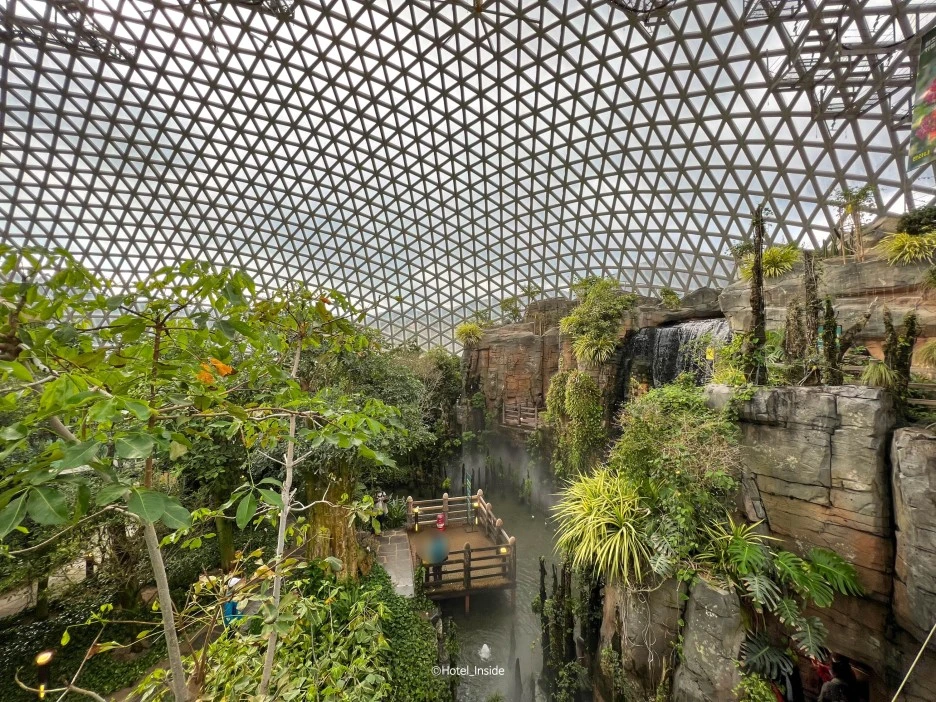 SE-f5068f29-2dd1-4d6d-b5af-745f926157d1.jpg?type=w1