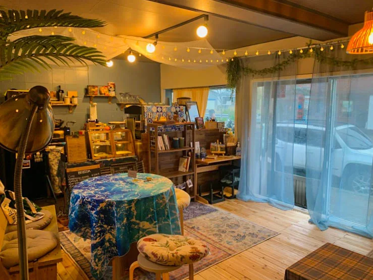 %EC%A0%9C%EC%A3%BC%EC%85%80%EB%A1%9C%EB%82%98_%EC%97%85%EC%B2%B4%EC%82%AC%EC%A7%84.jpg?type=w1