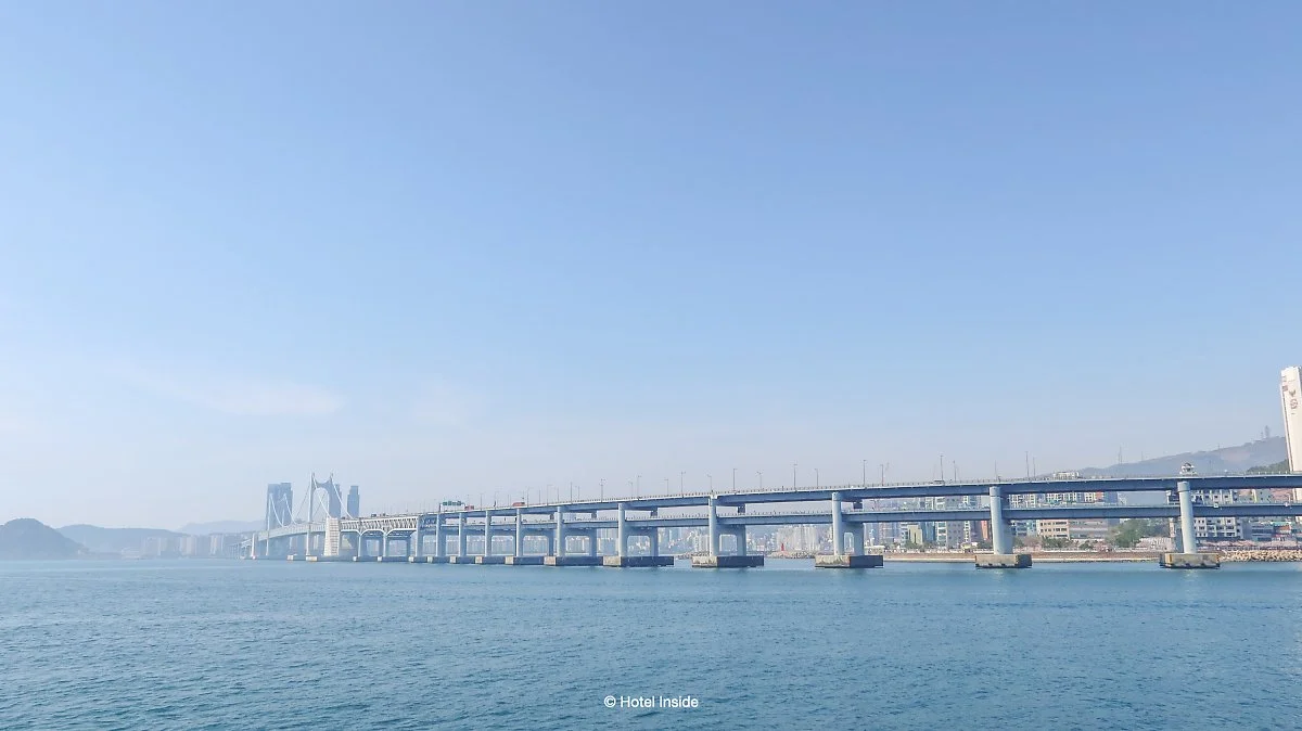 image_4369719471620096177430.jpg?type=w1200