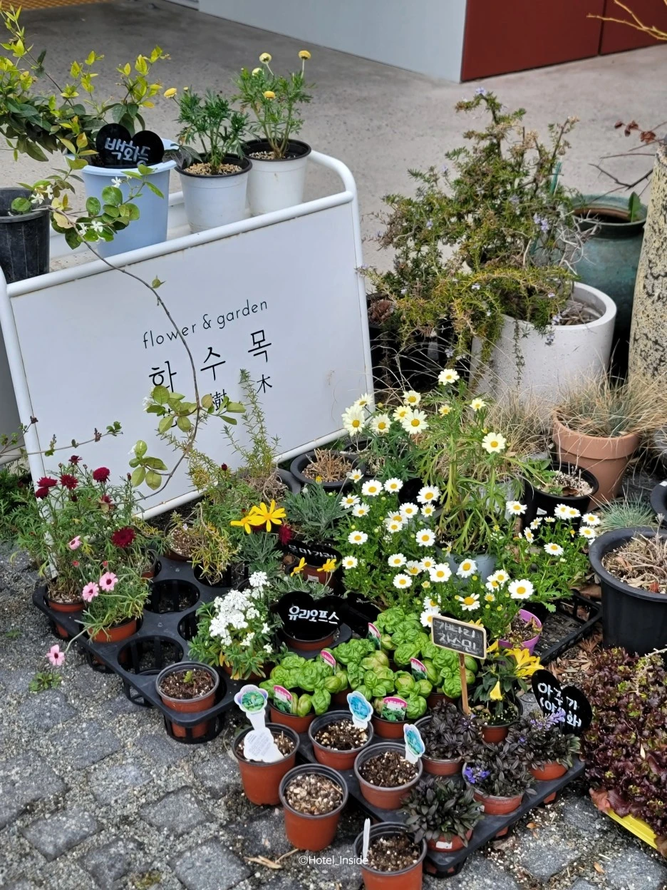 SE-e833da67-cde9-4e32-b815-fb88a5dd9d3b.jpg?type=w1