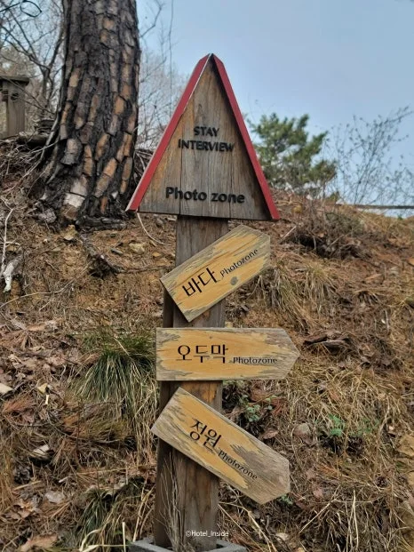 SE-04b178cf-5845-4396-a57a-45dee1093c5e.jpg?type=w466