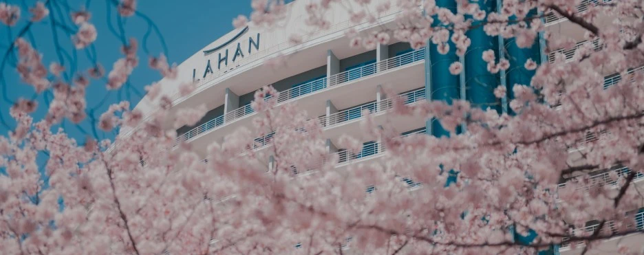 %EB%B4%84_%EB%9D%BC%ED%95%9C%EC%85%80%EB%A0%89%ED%8A%B8_%EA%B2%BD%EC%A3%BC_%EC%8A%A4%ED%94%84%EB%A7%81_%EB%AA%A8%EB%A8%BC%ED%8A%B8.jpg?type=w1