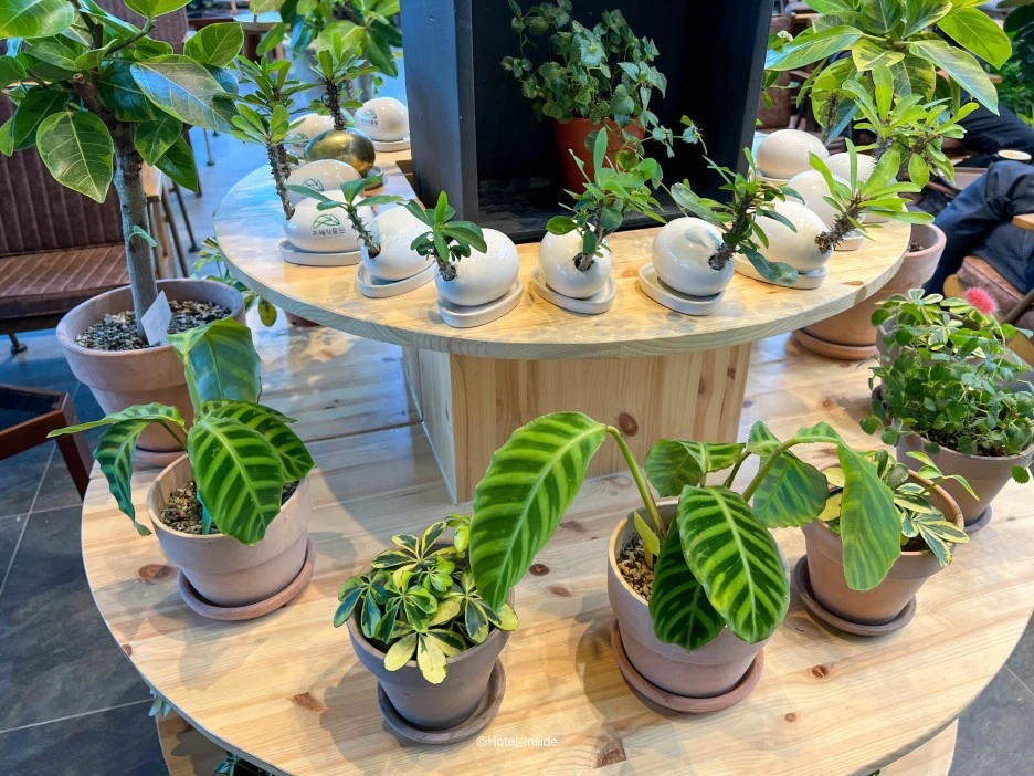 SE-8d2176ee-d61e-4664-996b-d9be6d9d0c0f.jpg?type=w1