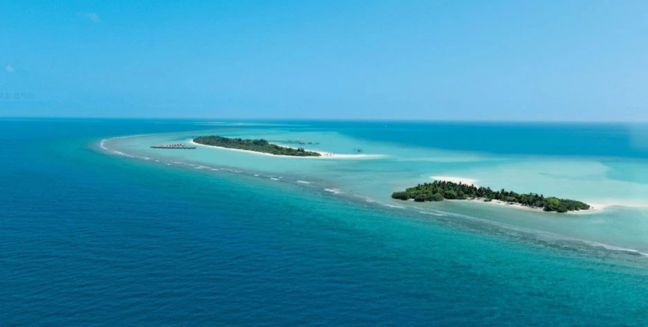 %EC%8B%9D%EC%8A%A4%EC%84%BC%EC%8A%A4.JPG?type=w1