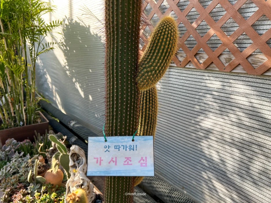 SE-f4631c65-9baf-4bbc-b966-d66b402b9bca.jpg?type=w1