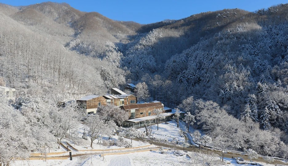 %ED%9E%90%EB%A6%AC%EC%96%B8%EC%8A%A4_section04_photo_08.jpeg?type=w1