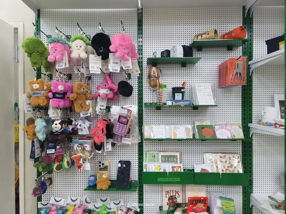 SE-91427edd-23eb-41f1-bd68-be16fe3f2449.jpg?type=w966