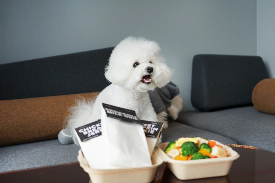 %EB%9D%BC%EC%9D%B4%EC%A6%88_%ED%8E%AB%EC%BA%89%EC%8A%A43.png?type=w1