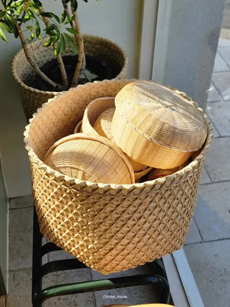 SE-5ec46139-ee05-455a-b6be-68f87fbd4a9c.jpg?type=w466