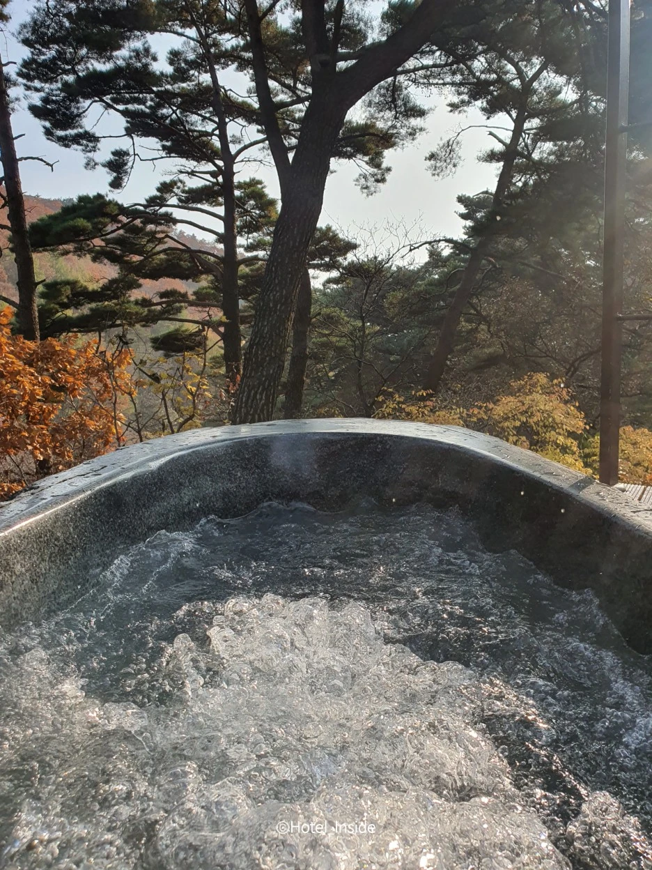 SE-6e570f0a-4467-44cc-978a-b3a95bbae9a9.jpg?type=w1