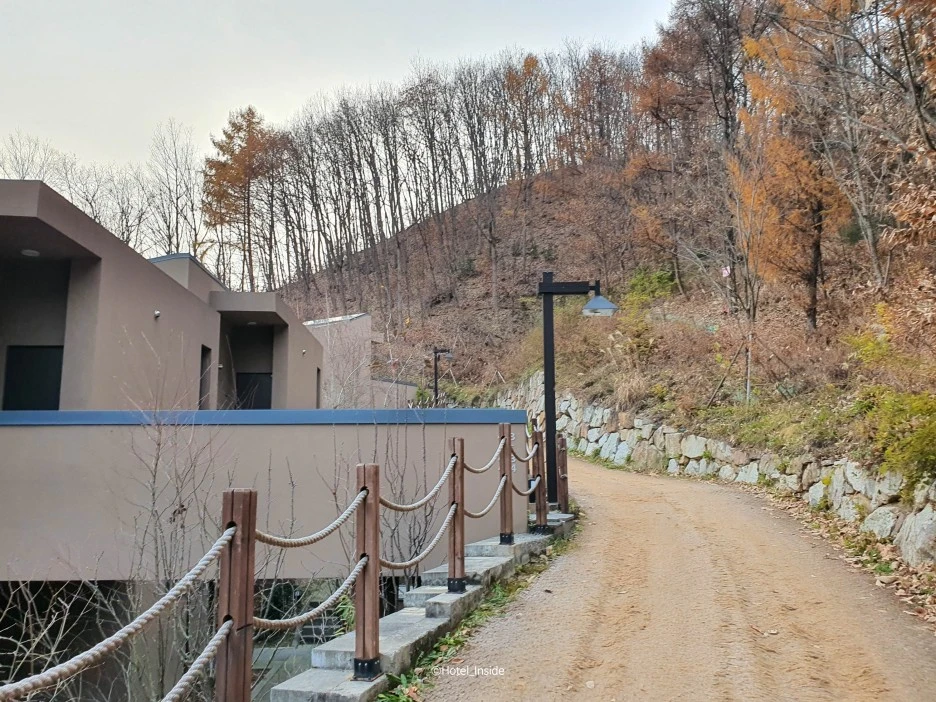 SE-8526def0-fdc9-4b42-9c5e-4e5351d42ba6.jpg?type=w1