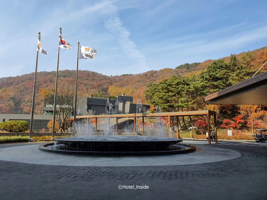 SE-e0c04e09-22f4-46aa-963d-7ee8f91f9328.jpg?type=w1