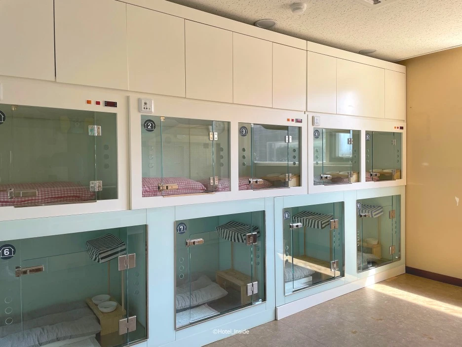 SE-9977e8c1-1ea5-4e7d-835b-7b8e637dbeb6.jpg?type=w1