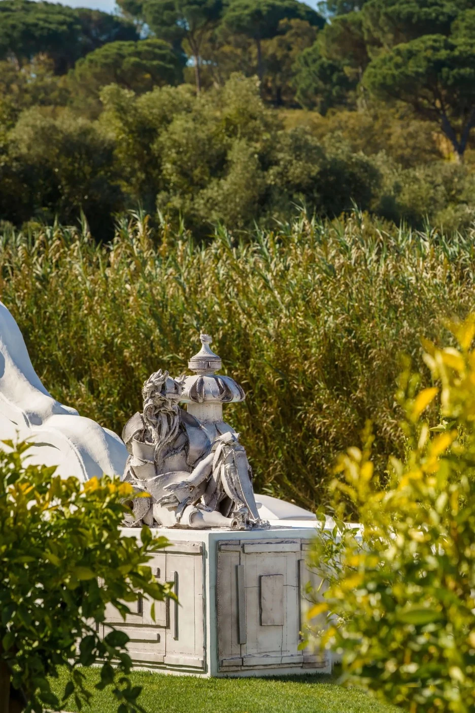 DSC7159.jpg.jpg?type=w1