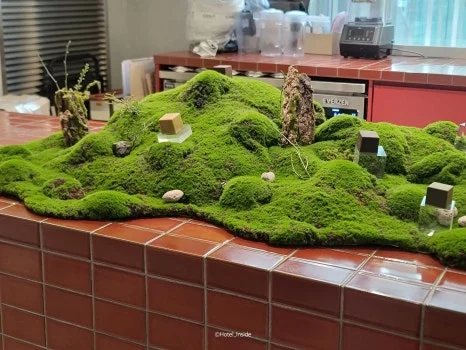 SE-138ce66e-222e-4d55-a484-9a96823e51ee.jpg?type=w466