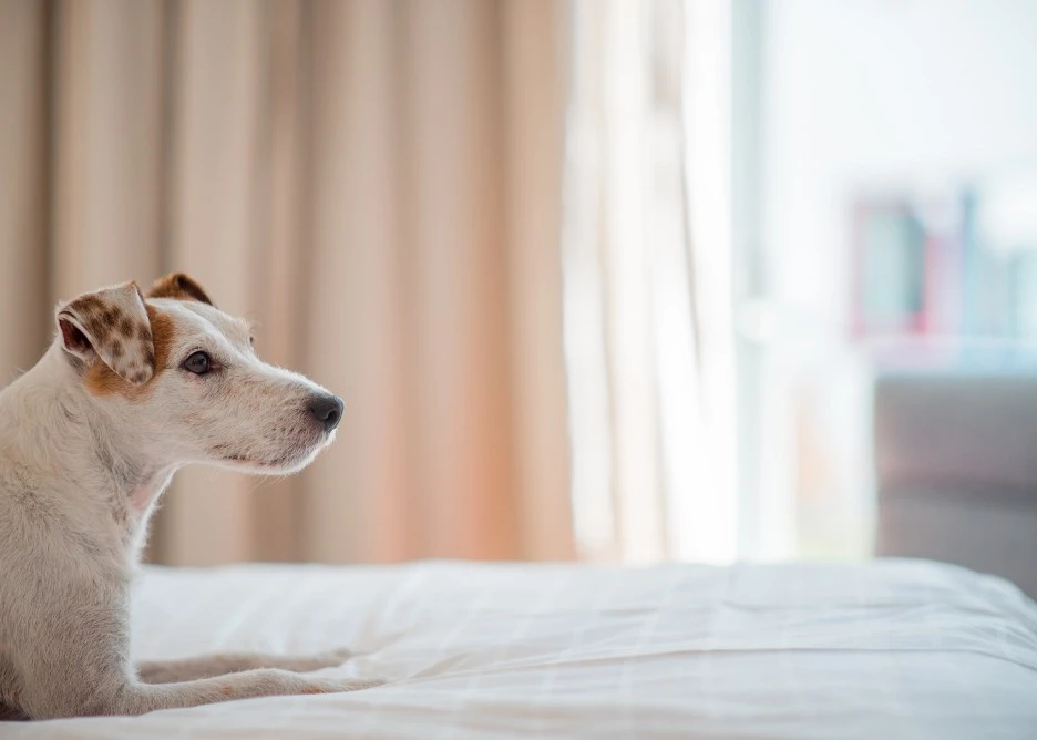 127280900_1036184756899810_355284030596186115_n.jpeg?type=w1