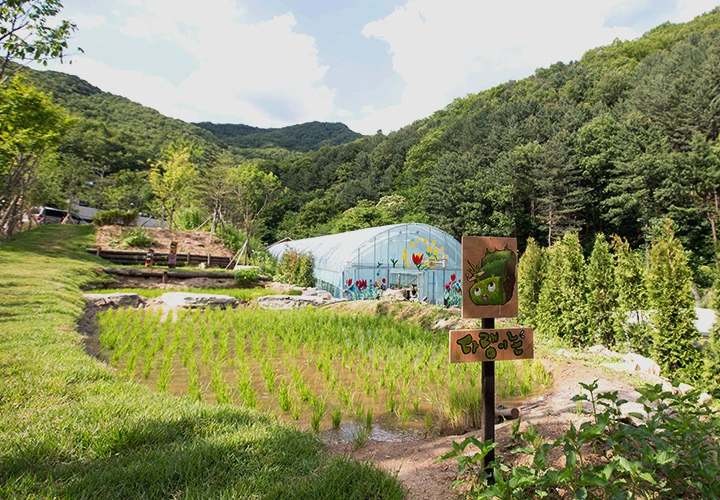 section02_photo_03.jpeg?type=w1