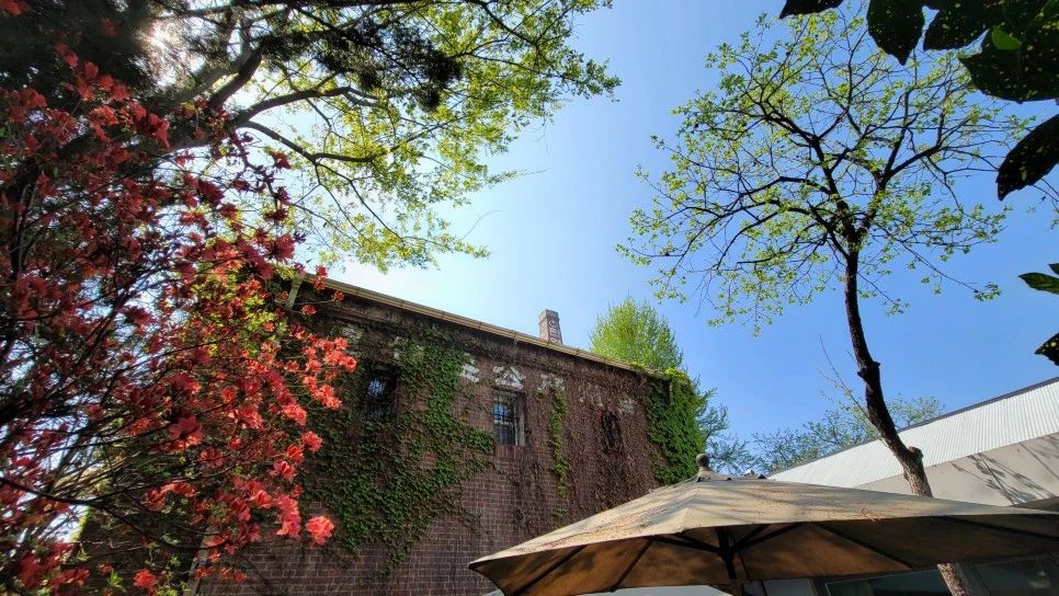 %EA%B3%B5%EC%9D%B5%EC%A7%88%EC%98%A5.jpg?type=w966