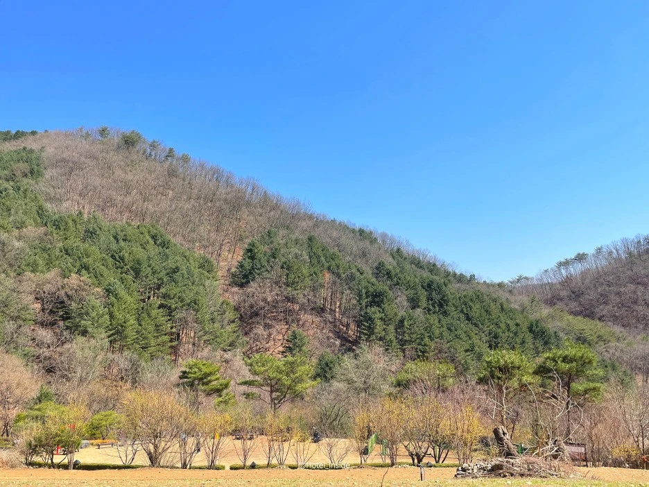 SE-6eaa076e-cabd-453f-9377-55e122d148ea.jpg?type=w1