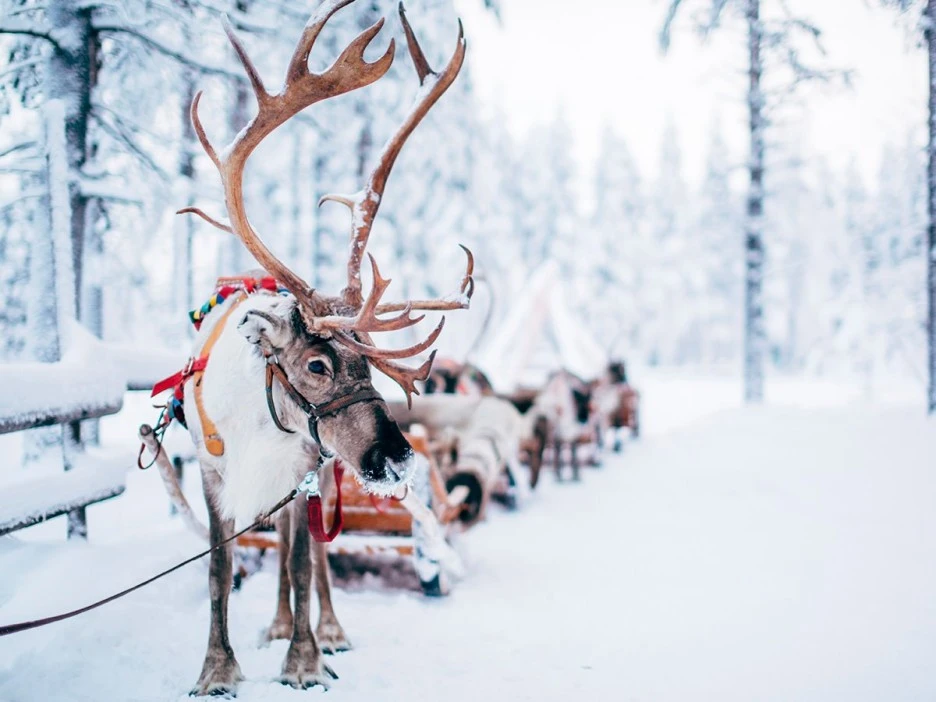 72651096_2452172281563261_6785011569819385856_n.jpeg?type=w1