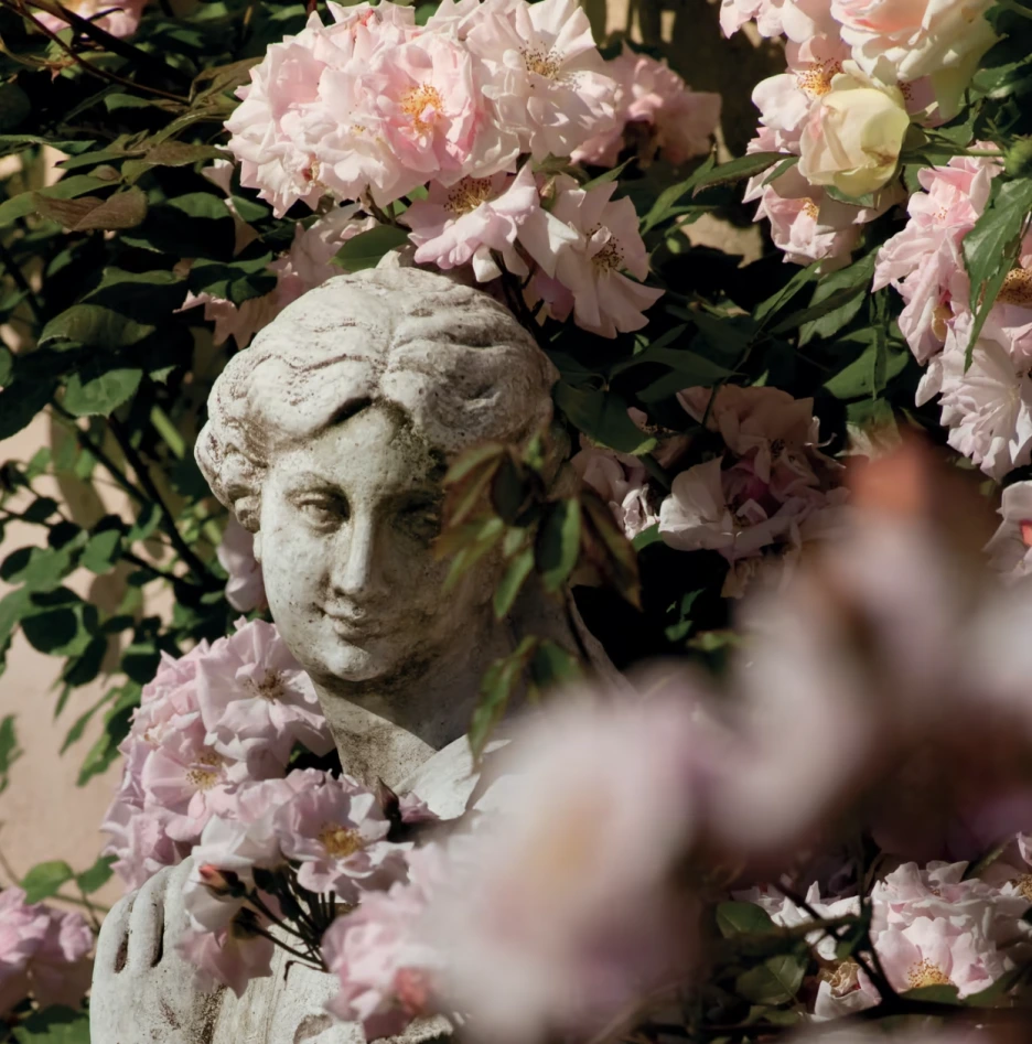 %EC%8A%A4%ED%81%AC%EB%A6%B0%EC%83%B7_2022-05-31_%EC%98%A4%EC%A0%84_11.26.08.png?type=w1