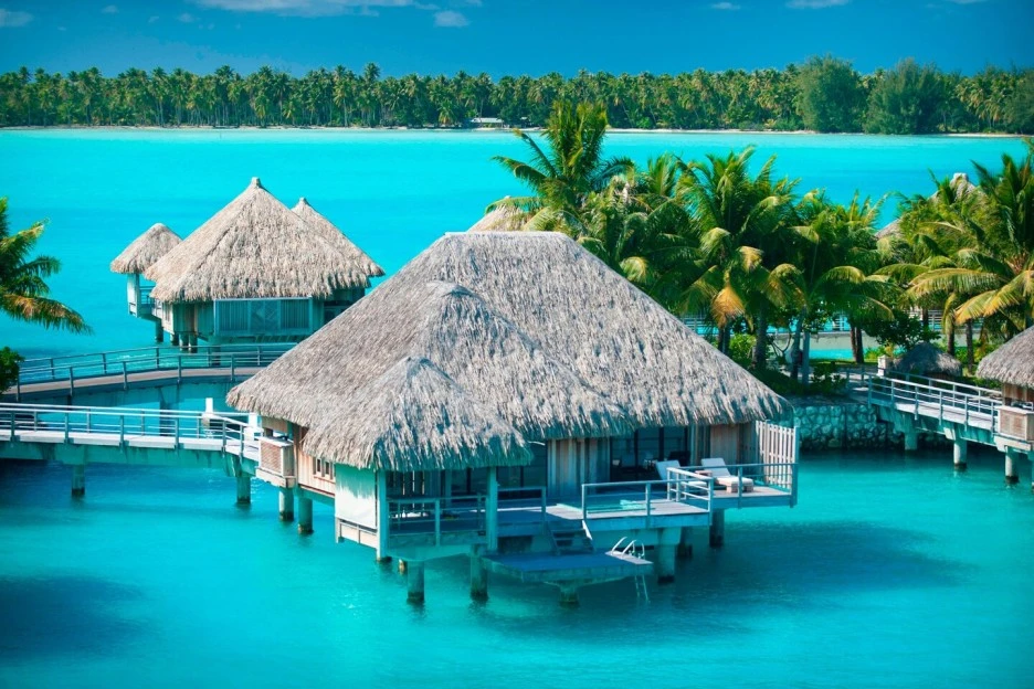 bobxr-premium-3976-hor-clsc.jpeg?type=w1