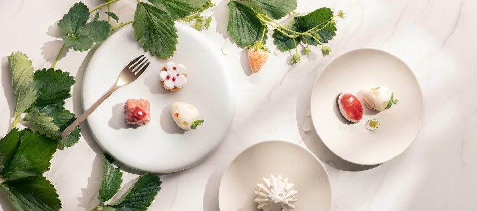 %ED%8C%8C%ED%81%AC%ED%95%98%EC%96%8F%ED%8A%B8_%EC%84%9C%EC%9A%B8_%EC%95%A0%ED%94%84%ED%84%B0%EB%88%88%ED%8B%B0.jpg?type=w1