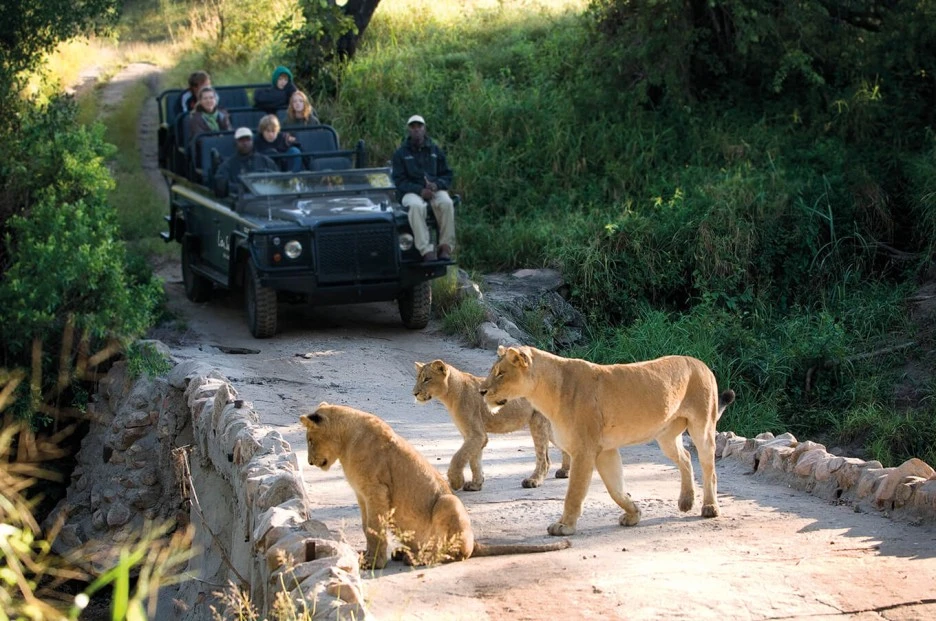 Lion_Sands_Narina_Lodge-Safari_Game_Drive.jpeg?type=w1