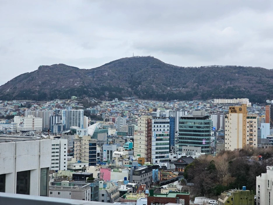 SE-524a8349-1a04-4a76-af24-98b4c51d8bde.jpg?type=w1