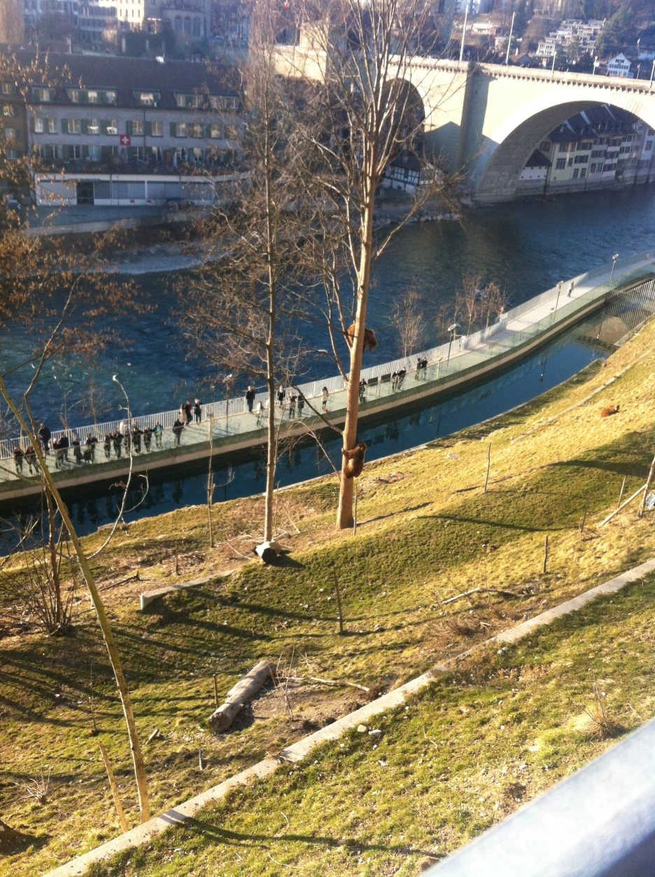 IMG_1582.JPG?type=w1