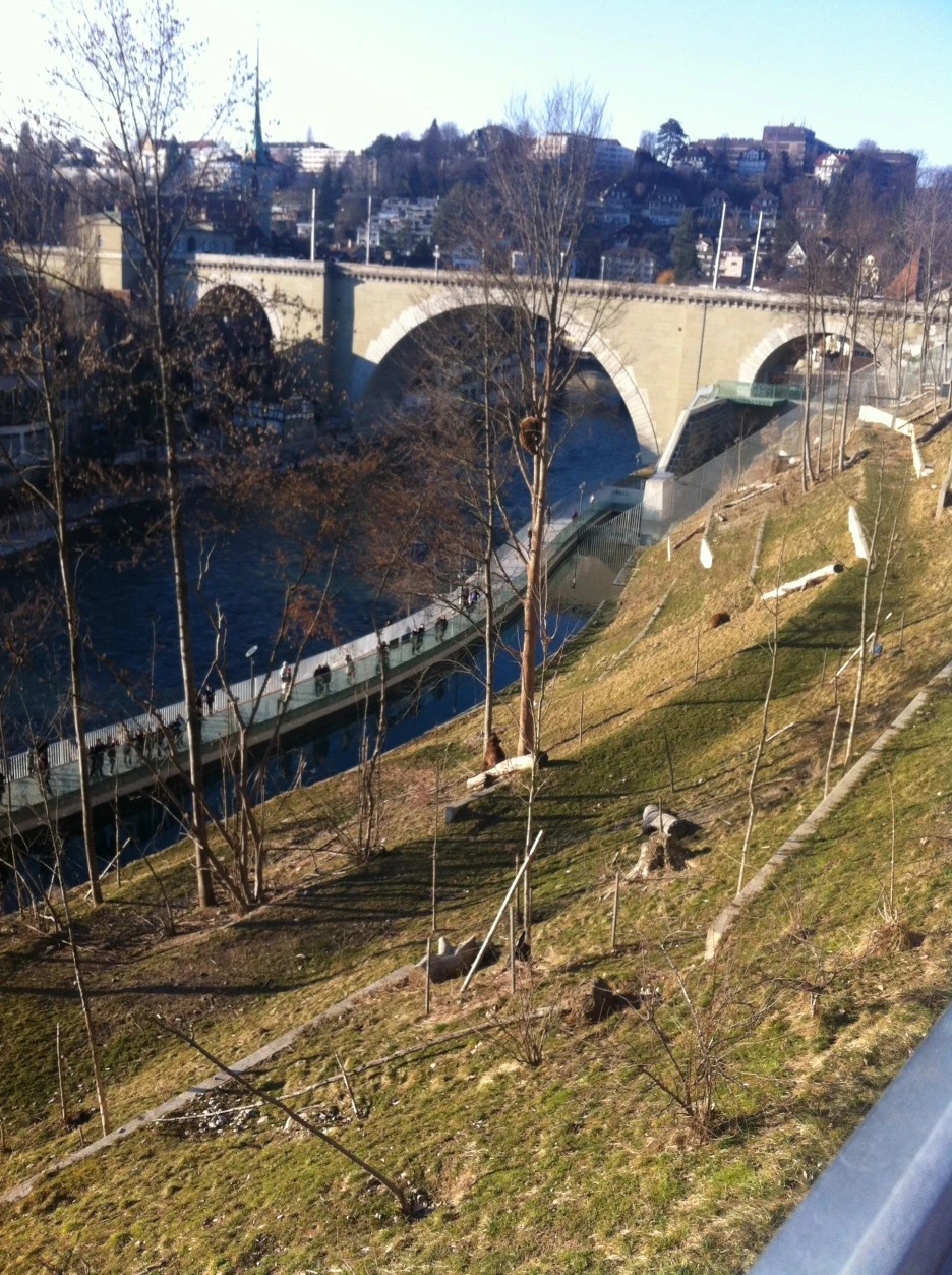 IMG_1579.JPG?type=w1