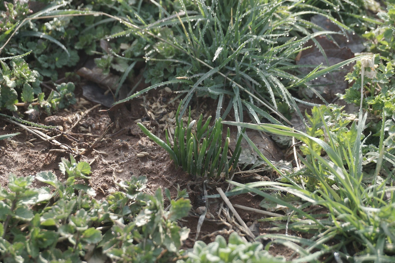 KakaoTalk_Photo_2022-03-27-19-57-32 002.jpeg