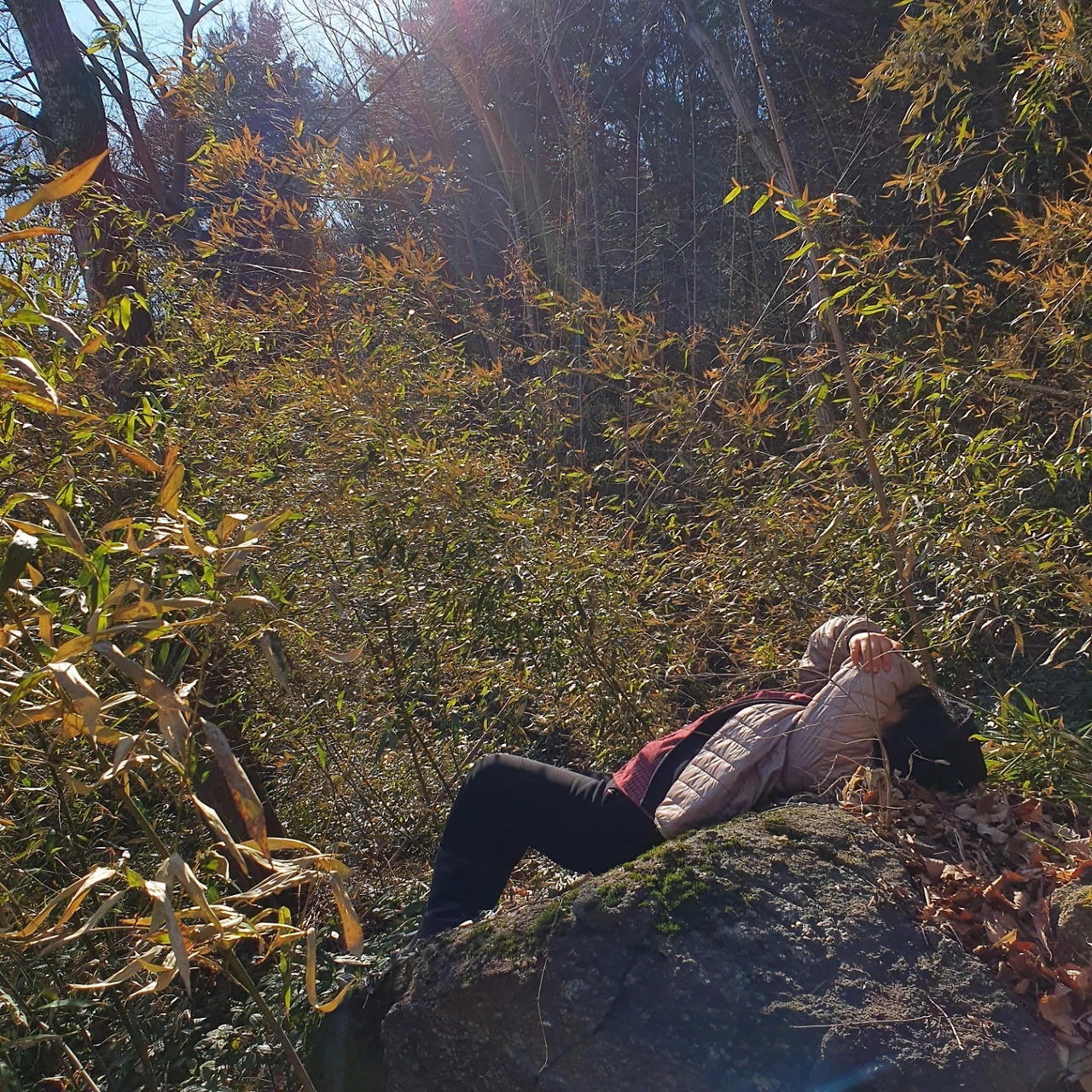 KakaoTalk_Photo_2021-08-04-23-01-41 001.jpeg