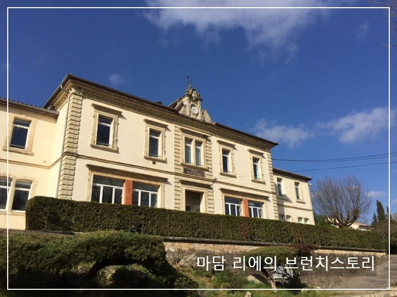 IMG_8551.JPG?type=w773