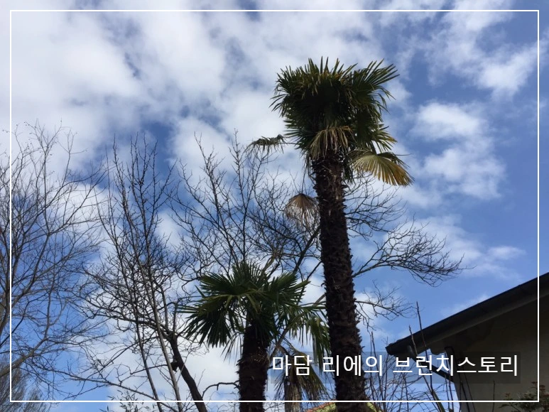 IMG_8553.JPG?type=w773