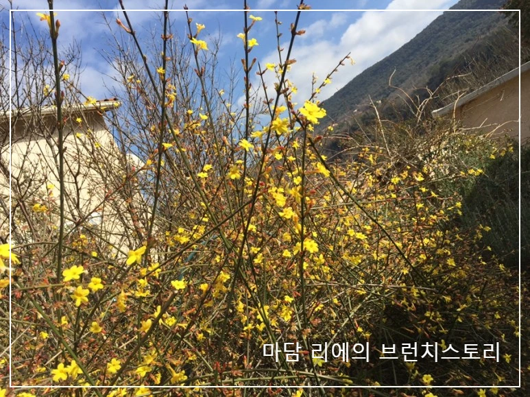 IMG_8554.JPG?type=w773