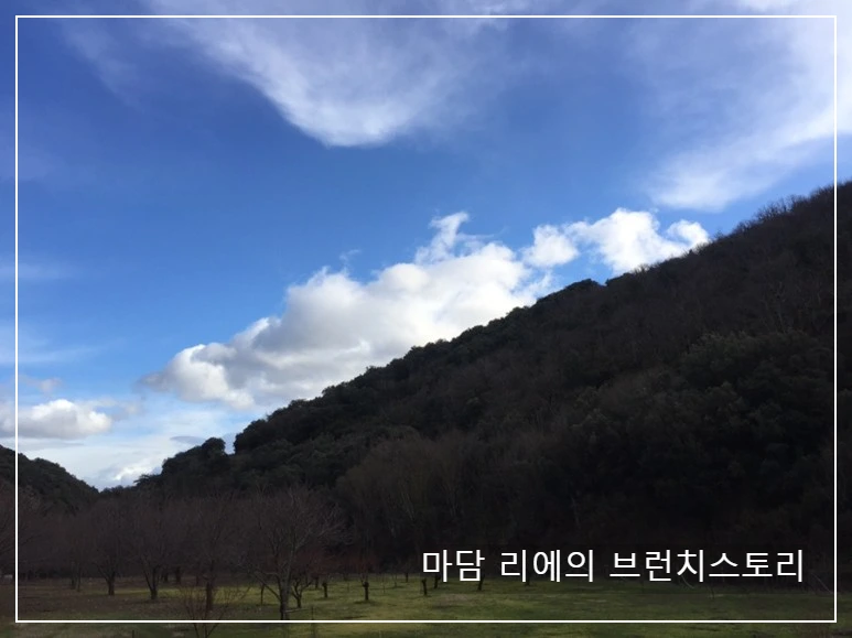 IMG_8251.JPG?type=w773